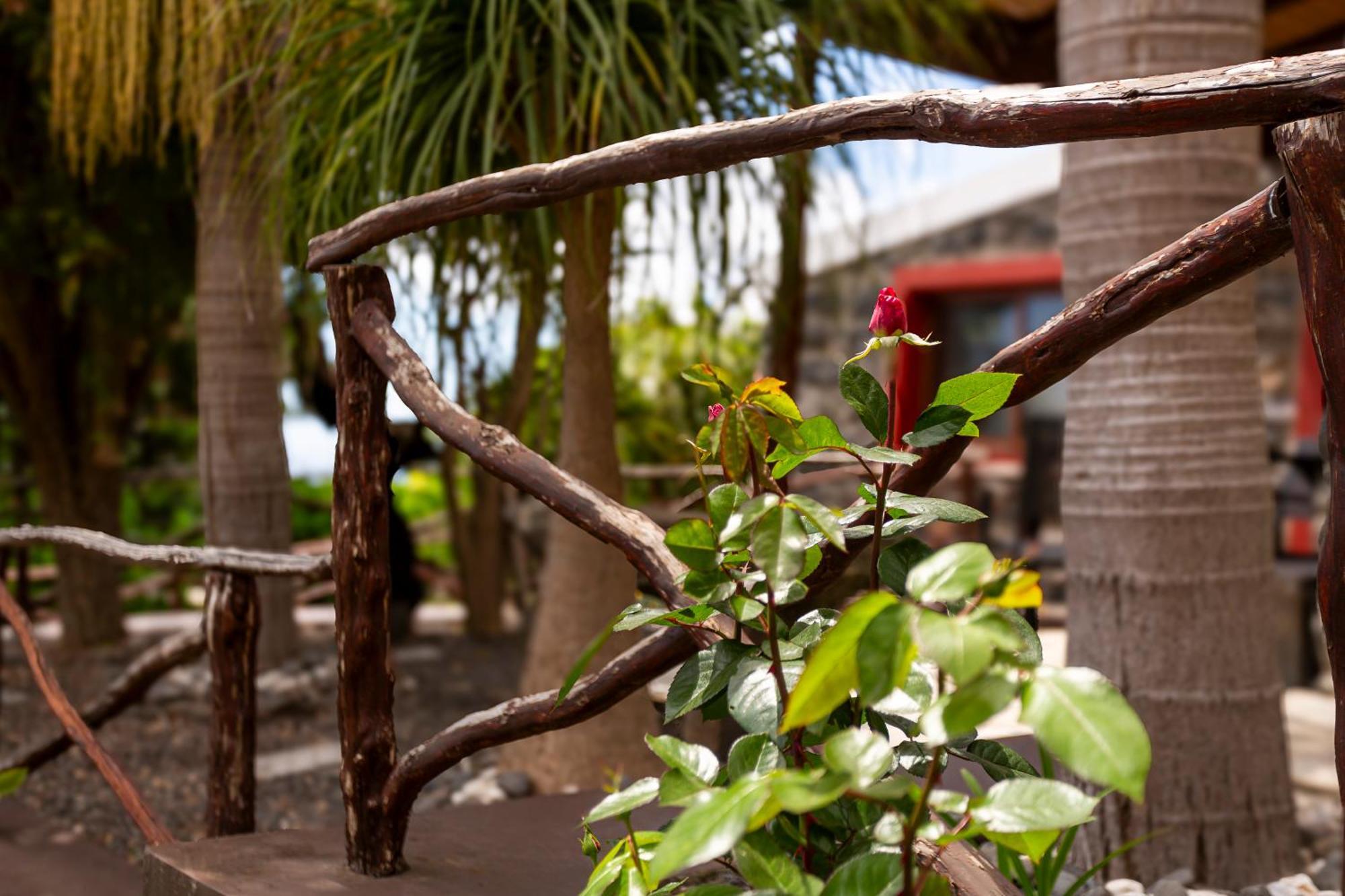 Vila Refugio Do Lourinho Funchal  Exteriér fotografie